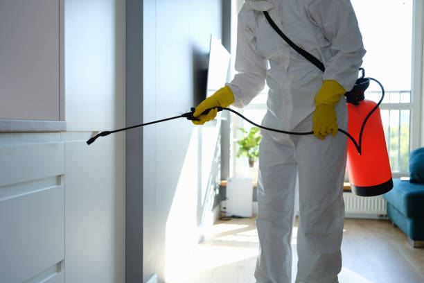 Best Mold Cleaning Services  in Lumberton, MS