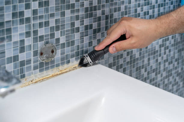 Best Black Mold Removal  in Lumberton, MS