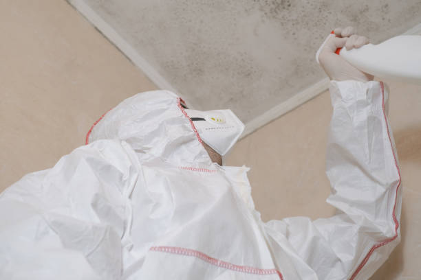 Best Attic Mold Removal  in Lumberton, MS