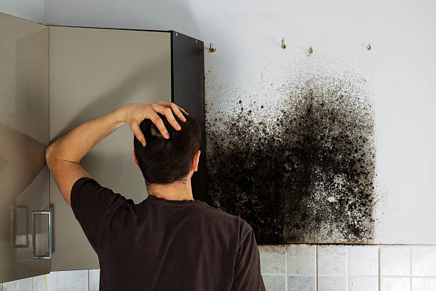 Best Commercial Mold Removal  in Lumberton, MS